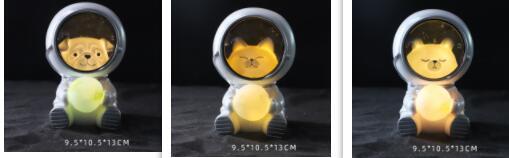 Starry sky animal atmosphere night light